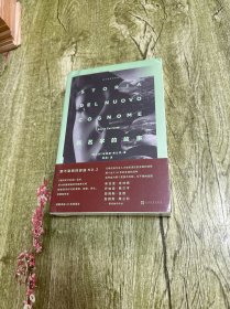 那不勒斯四部曲：新名字的故事