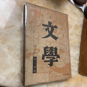 文学 专刊