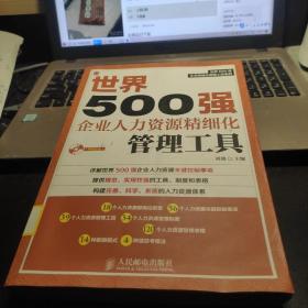 世界500强企业人力资源精细化管理工具（附光盘）