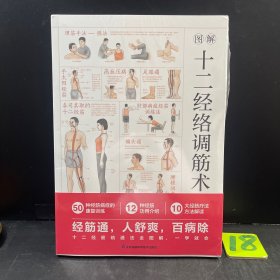图解十二经络调筋术 十二经筋疏通法全图解 一学就会 50种经筋病症的康复训练 12种经筋功用介绍 10大经筋疗法方法解读