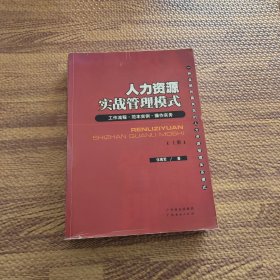 人力资源实战管理模式（上册）