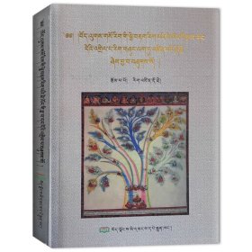 舌诊技术解说  9787223073721 仁增多吉 西藏人民出版社