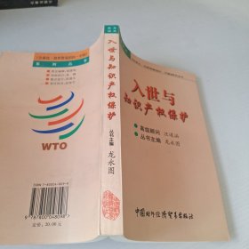 入世与知识产权保护