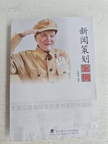 新闻策划案例