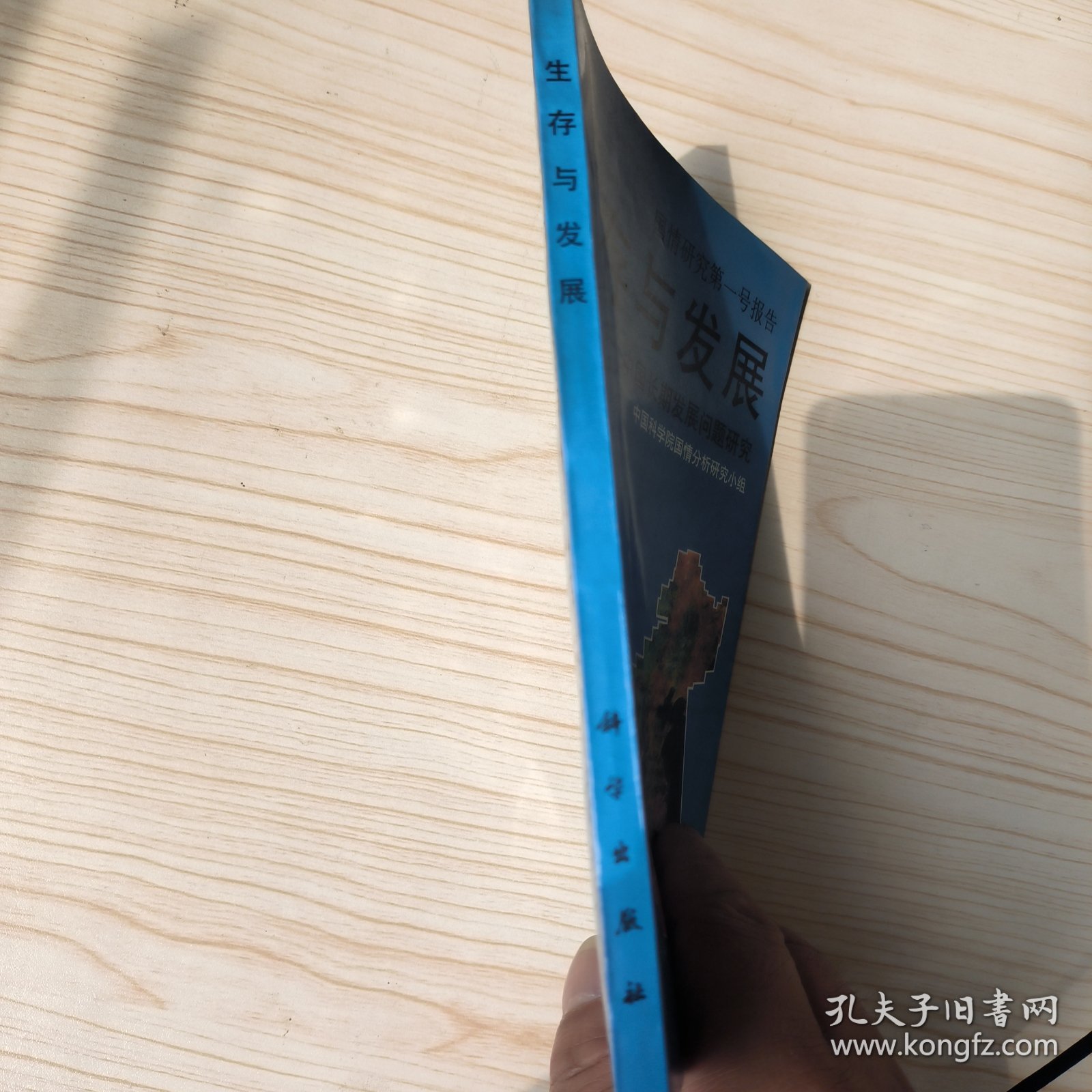 生存与发展 中国长期发展问题研究