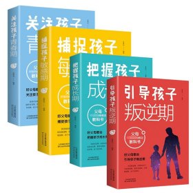 关注孩子青春期系列（共4册）