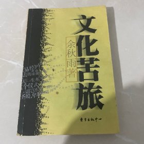 文化苦旅