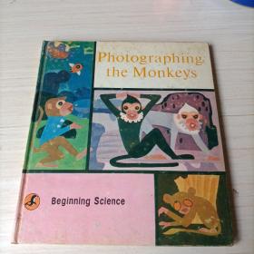 英文版彩色连环画：photographing the monkeys(给猴子照相）