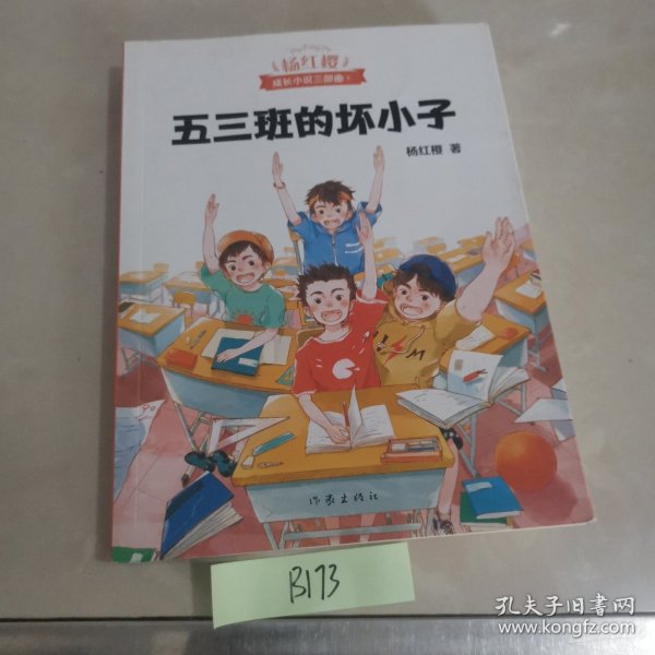 五三班的坏小子（600万小读者亲证，杨红樱成长小说20年升级版）