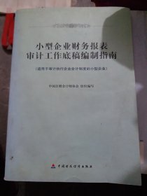 小型企业财务报表审计工作底稿编制指南（适用于审计执行企业会计制度的小企业）（大16开A221003）