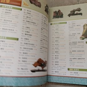 奇石 中国艺术品收藏鉴赏全集：典藏版