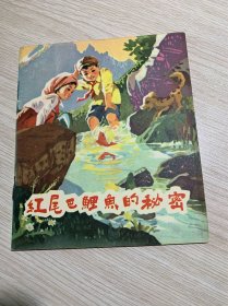 红尾巴鲍鱼的秘密....近十品