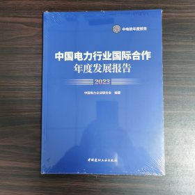 中国电力行业国际合作年度发展报告2023