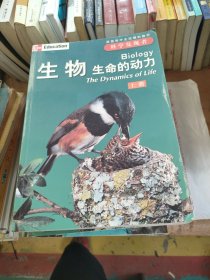 美国高中主流理科教材——科学发现者：物理-原理与问题 上下，缺中册，化学-概念与应用 上中下，生物-生命的动力 上中下，地理-地质学环境与宇宙 上中下 4套11册合售（无字迹无划线）