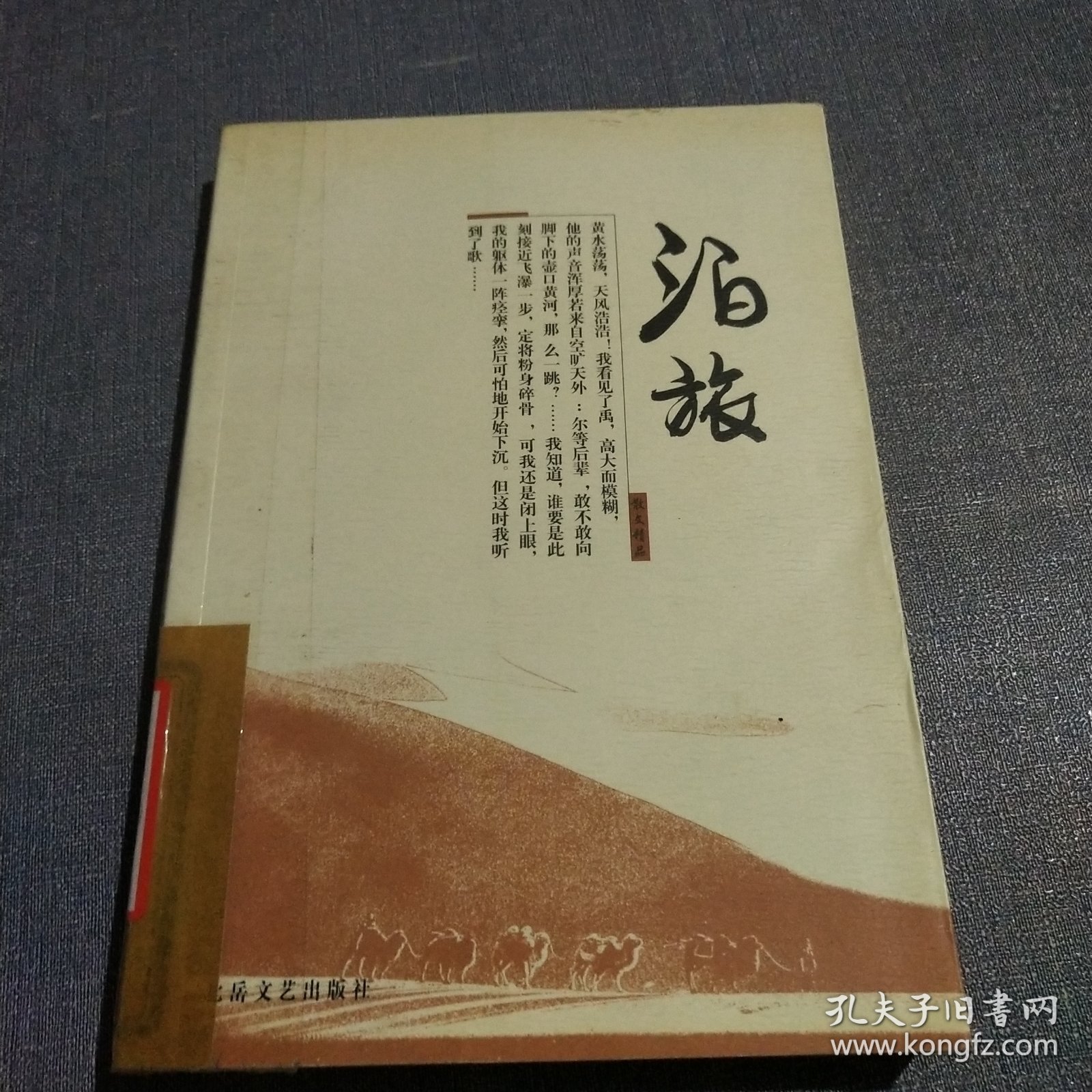 泊旅