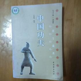 中国非物质文化遗产文藏典丛书《中国功夫》