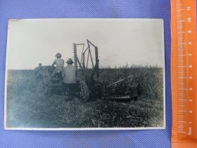 03557 克山 农试 收获 大豆 照片 民国 时期 老照片