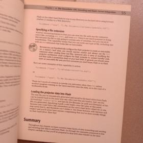 Server-Side Flash Scripts, Databases and Dynamic Development  无光盘，扉页有印章！