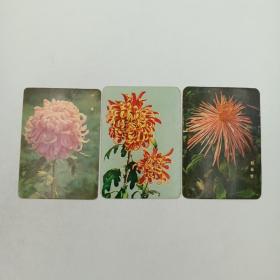 年历卡 1975年 新春 大金背 粉松针 3枚合售  年历片