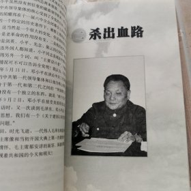 邓小平的最后二十年