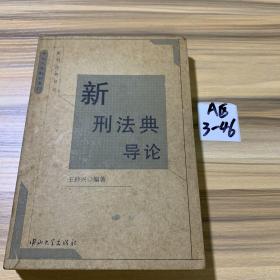 新刑法典导论
