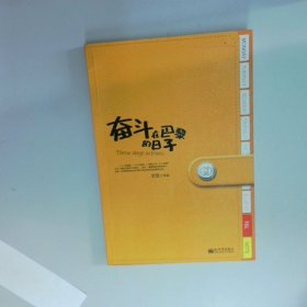 奋斗在巴黎的日子  艾佳 新世界出版社