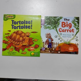 The Big Carrot Tortoise Tortoise JD-1 2