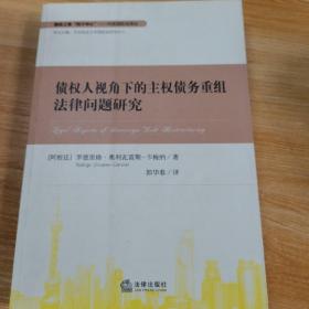 华政国际法译丛：债权人视角下的主权债务重组法律问题研究