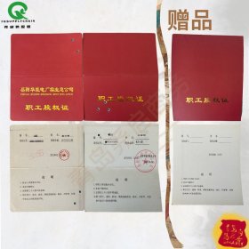 收藏品怀旧上市公司岳阳华能电厂实业总公司股权证 金融票证保值