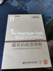 威立金融经典译丛·超长的经济周期：从未来的通货膨胀浪潮和美元贬值中获取利润