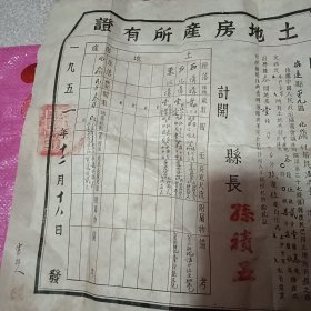 土地房产所有证【1951年】招远县第九区