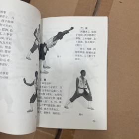 中国嵩山少林寺武功传世秘笈：少林寺朝阳拳