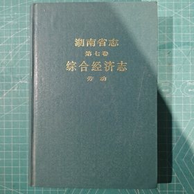 湖南省志第七卷 综合经济志 劳动