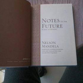 Notes to Future