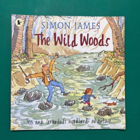 SIMON JAMES The Wild Woods英文原版