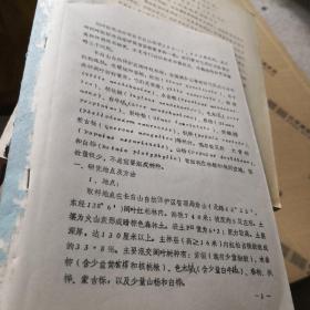 长白山阔叶红松林