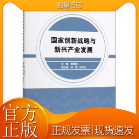 国家创新战略与新兴产业发展