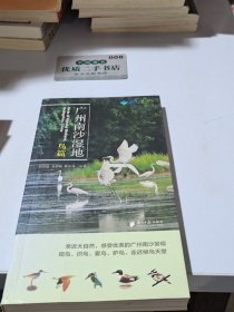 廣州南沙濕地 鳥(niǎo)篇