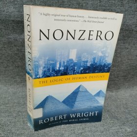 Nonzero：The Logic of Human Destiny