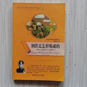 大悦读：钢铁是怎样炼成的