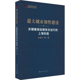 【正版新书】 超大城市韧建设 关键基础设施安全运行的上海实践 孙建平 等 著 上海人民出版社