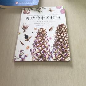 奇妙的中国植物(荒漠草原篇)