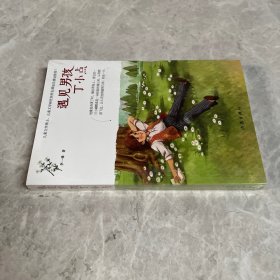 遇见男孩丁小点