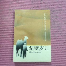 戈壁岁月 【418号】