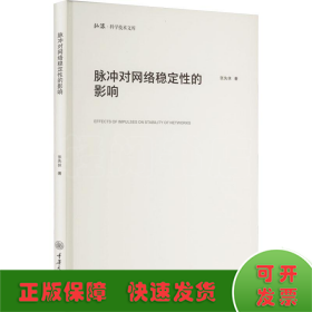 脉冲对网络稳定性的影响 张先休 著 新华文轩网络书店 图书