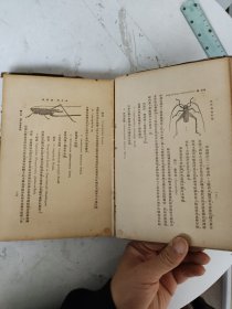 民国25年初版 棉作病虫害学