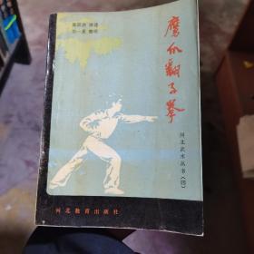 武术类：鹰爪翻子拳（河北武术丛书四）.