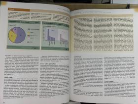 Food Nutrition Physical Activiy and the Prevention of Cancer:a Global Perspective食物 营养 身体活动和癌症预防（英文原版）