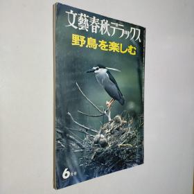 文艺春秋 1978.6  日文  日本的野鸟