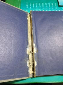 性病图谱